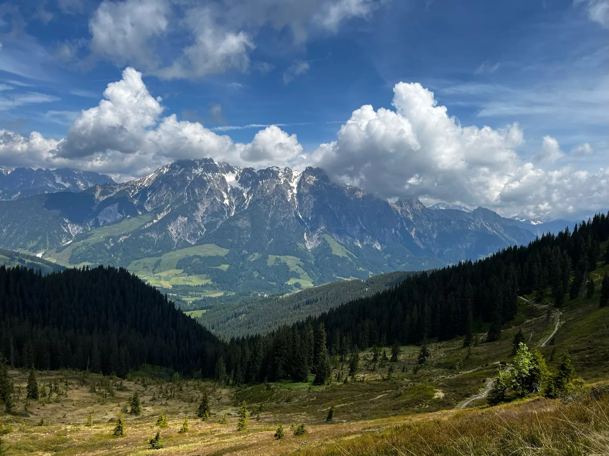 Summer mountain view in Saalbach Austria with alpine meadows, forest trails and dramatic peaks under blue sky