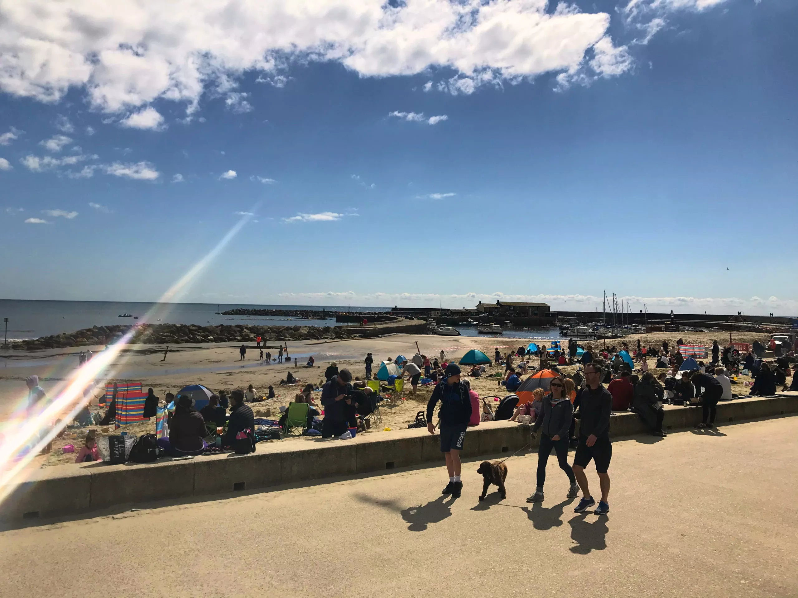lyme regis beach in the summer