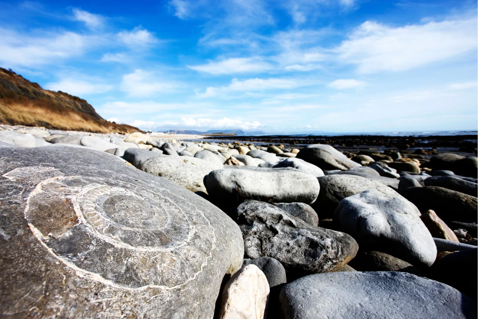 fossil hunting on lyme regis beach