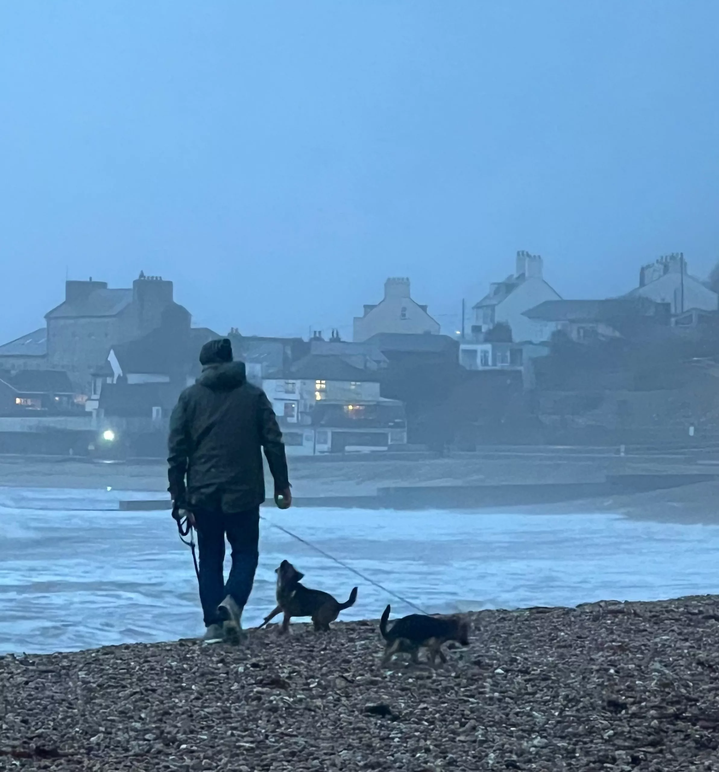 walking dogs at lyme regis beach in the winter on a rainy day