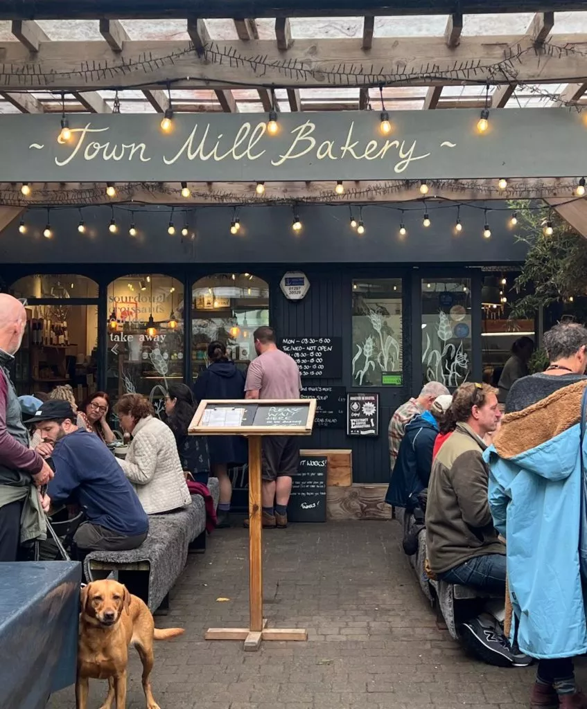 dog in the town mill bakery courtyard in lyme regis